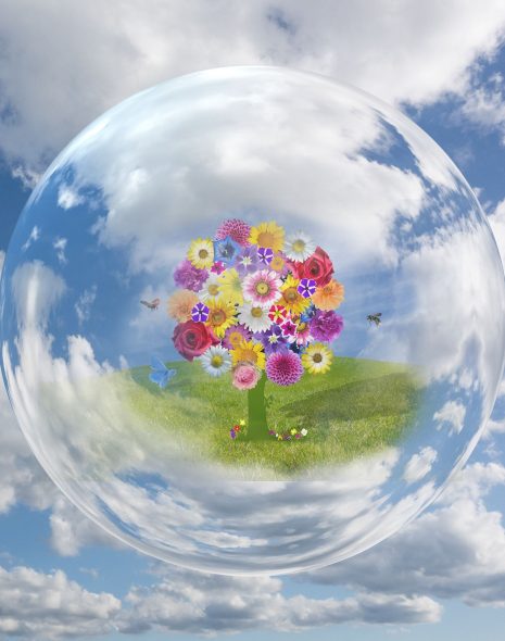 Family Numerology reading - young children and parents