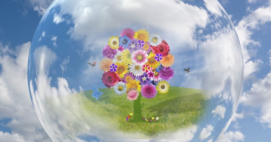 Family Numerology reading - young children and parents