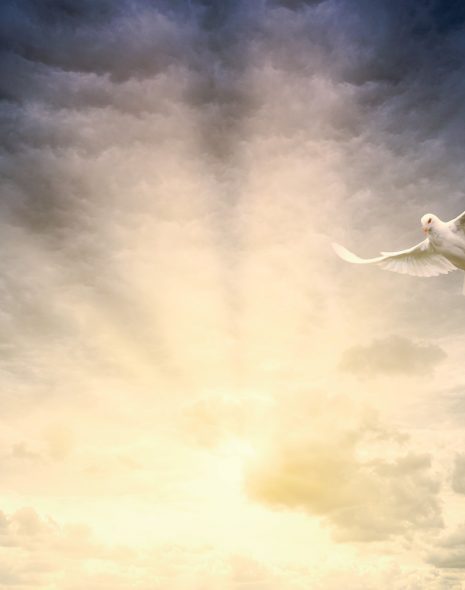Individual Coaching Program - The Light Path (3 months)