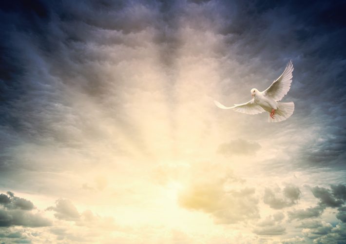 Individual Coaching Program - The Light Path (3 months)